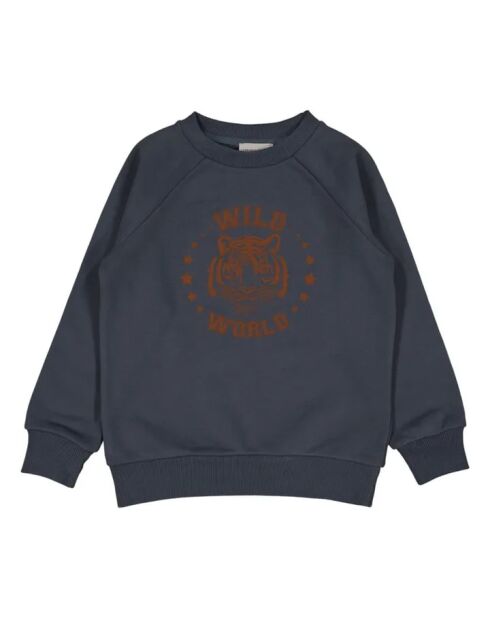 James blaugraues Baumwoll-Sweatshirt mit Rundhalsausschnitt