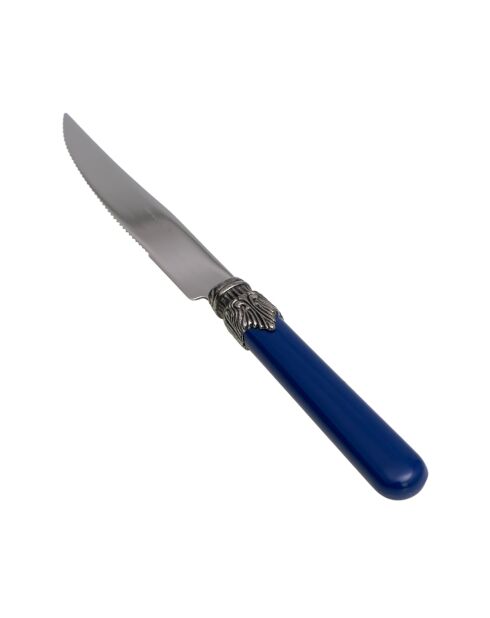 Set di 6 coltelli da bistecca classici blu in acciaio inossidabile - 26 x 5,8 x 7 cm