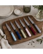 Juego de 6 cuchillos clásicos de acero inoxidable azul para carne, 26 x 5,8 x 7 cm