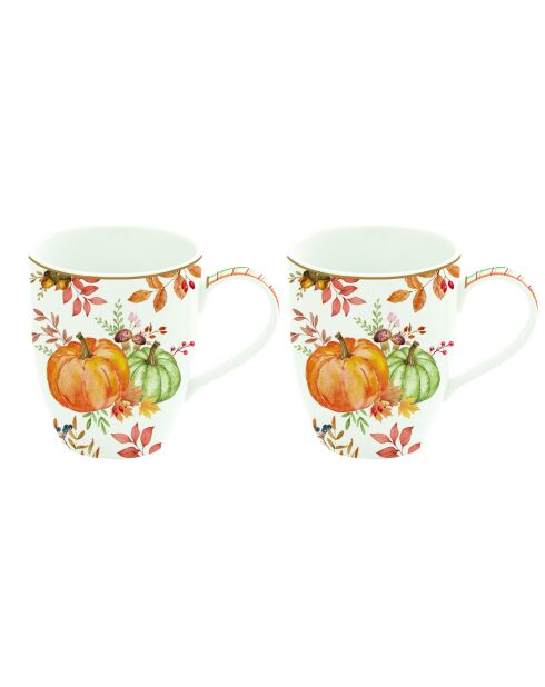 Set de 2 tazas de porcelana Harvest multicolor - 350 ml