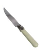Set van 6 klassieke roestvrijstalen steakmessen saliegroen - 26 x 5,8 x 7 cm