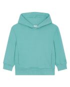 Sudadera con capucha Timeo de algodón verde menta