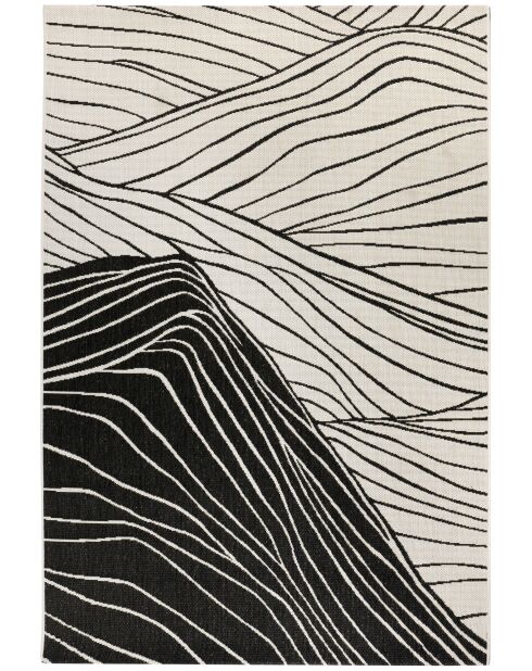 Dusko thunder vloerkleed voor buiten - 200x290 cm