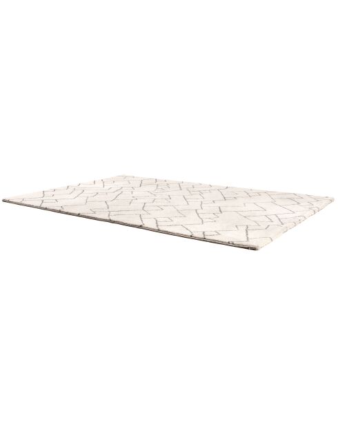 Alfombra natural Aspen - 160x230 cm