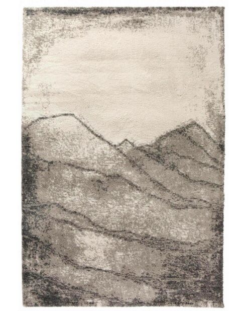Alfombra natural Pio - 200x290 cm