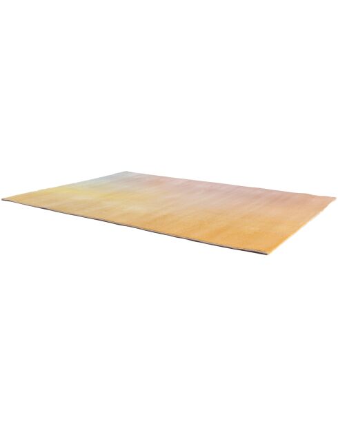 Alfombra multicolor Caro - 160x230 cm
