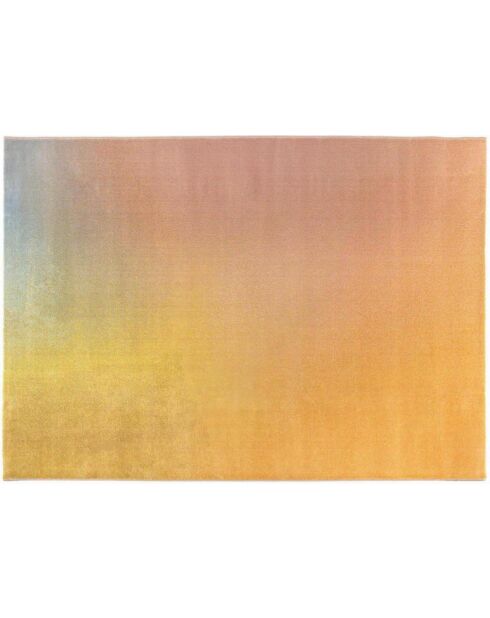 Alfombra multicolor Caro - 200x290 cm