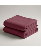 Drap-housse en coton percale bordeaux