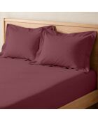 Drap-housse en coton percale bordeaux