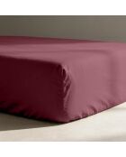 Drap-housse en coton percale bordeaux