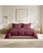 Drap-housse en coton percale bordeaux