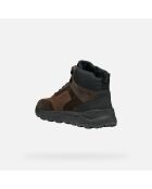 Sneakers U Spherica 4X4 B Abx brun foncé