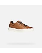 Sneakers U Deiven brun clair