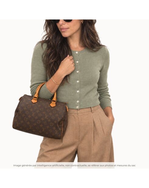 Le Speedy 30 Louis Vuitton