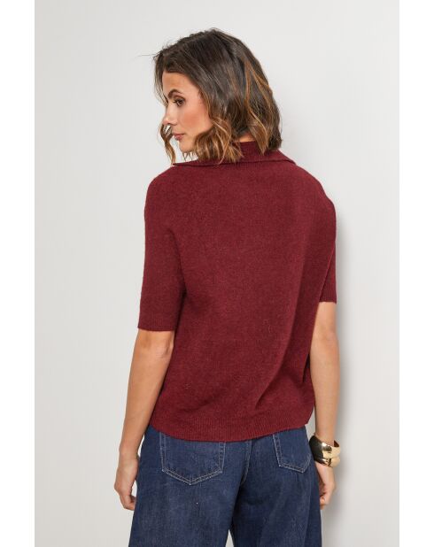 Pull Wild bordeaux