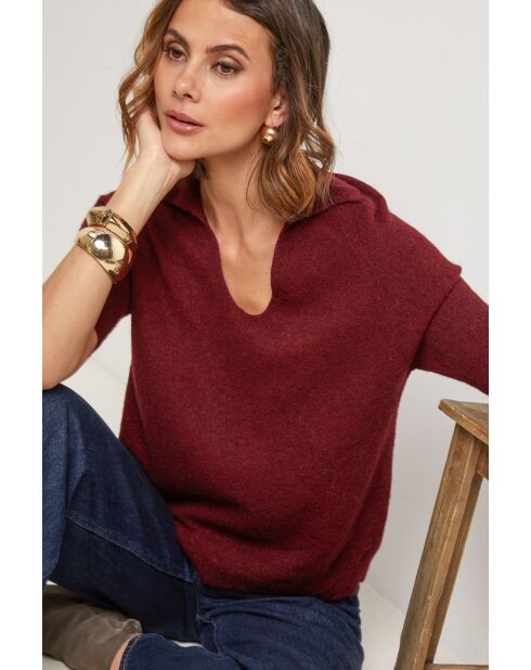 Pull Wild bordeaux