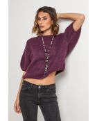 Pullover Willow in misto lana viola