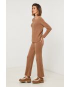 Ensemble Verona camel