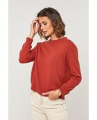 Jersey de lana de zafiro oxidado
