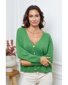 Laemgroen wollen vest