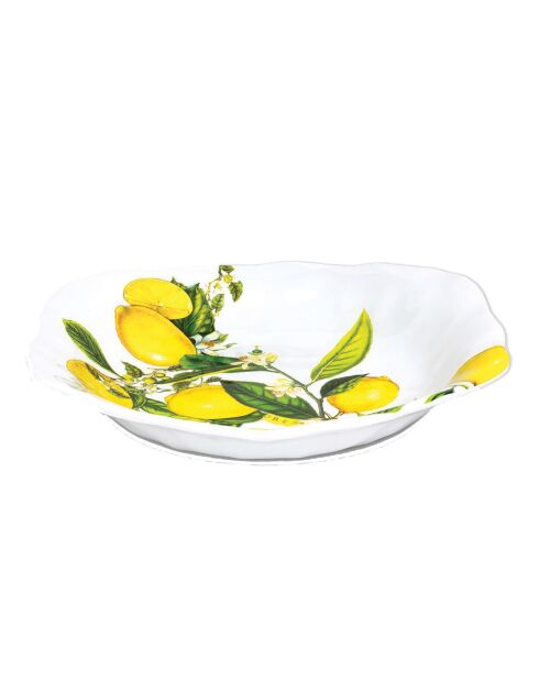 Plat creux en mélamine Lemon Basil multicolore - 4 x 24 x 26 cm