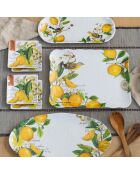 Rechthoekige melamineschotel met veelkleurige citroenbasilicum - 30 x 40 cm