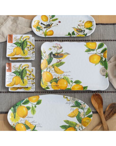 Plat rectangulaire en mélamine lemon basil multicolore - 30 x 40 cm