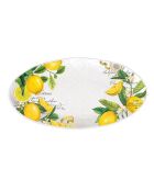 Plat ovale en mélamine lemon basil multicolore - 25,5 x 48 cm