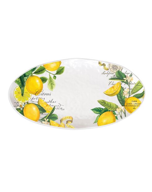 Plat ovale en mélamine lemon basil multicolore - 25,5 x 48 cm