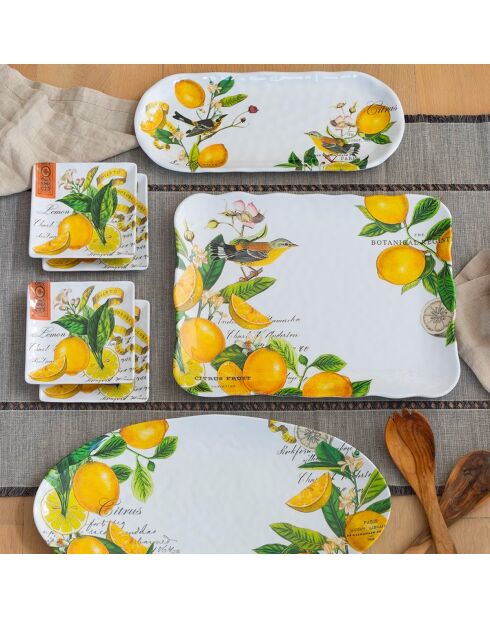 Plat ovale en mélamine lemon basil multicolore - 25,5 x 48 cm