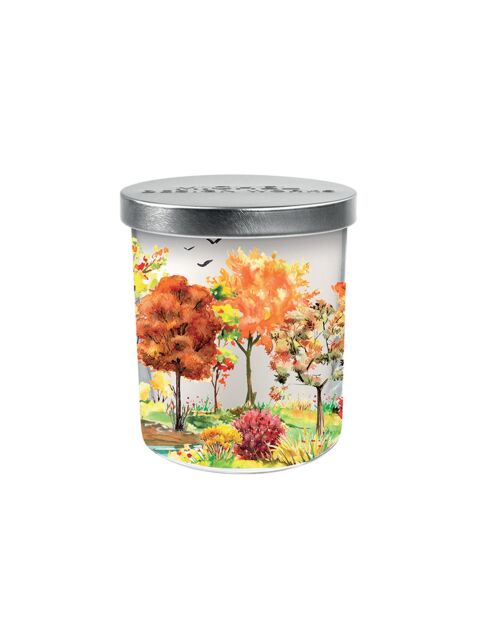 Bougie Parfumée et couvercle Orchard Breeze multicolore - 209 g