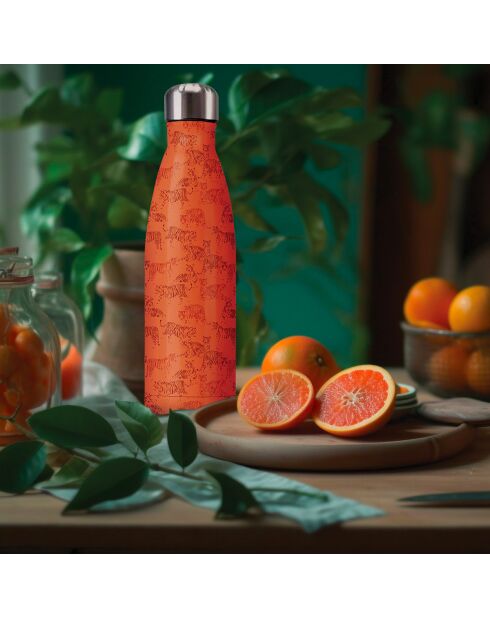 Gourde isotherme tigres orange - 500ml