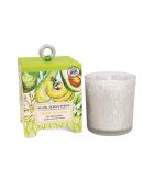 Candela profumata all'avocado fresco multicolore e confezione regalo - 184 g