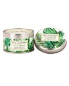 Palm Breeze Duftkerze, mehrfarbig, in Metallbox, 113 g