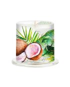 Bougie Parfumée sous cloche Coconut Palm multicolore - 164 g