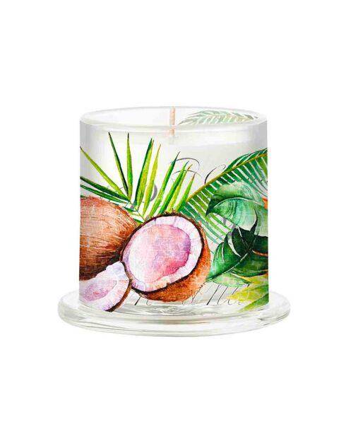 Vela aromática multicolor con forma de palma de coco bajo campana - 164 g