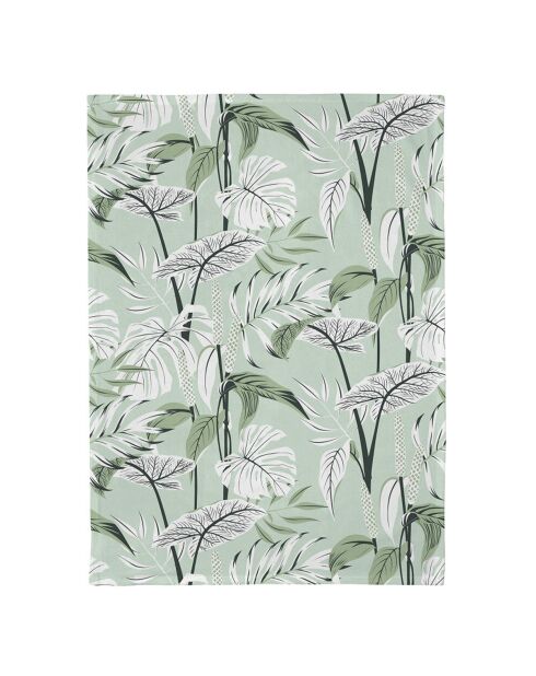 Torchon en coton biologique Mint Leaves Chic Mic multicolore - 50x70 cm