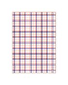 Set van 2 bijpassende theedoeken in paisley-katoen en veelkleurige plaid - 51 x 71 cm