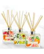 Mehrfarbiger Raumdiffusor Fresh Avocado - 100 ml