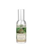 Vaporisateur d'ambiance Island Palm multicolore - 100 ml