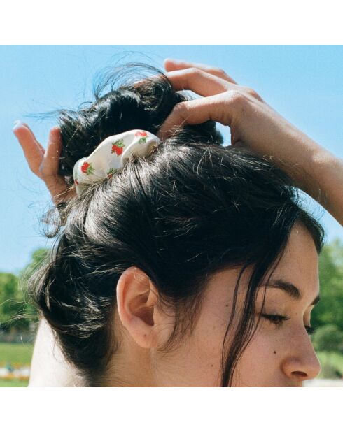 Himbeer-Chouchou
