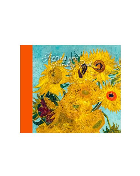 Carnet d'adresses et anniversaires Masters Collection multicolore - 16,4 x 14,5 x 1,7 cm