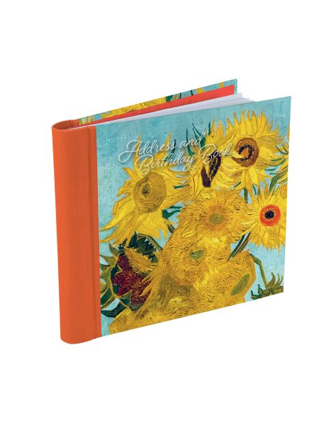 Mehrfarbiges Adress- und Geburtstagsbuch von Masters Collection, 16,4 x 14,5 x 1,7 cm