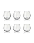 Set mit 6 transparenten Pfingstrosengläsern für niedrigen Wasserstand — 380 ml