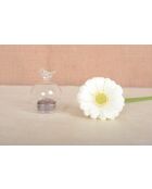 Lot de 6 cadeaux d'assiette oiseau transparents - 5.5x5.5x6.5 cm