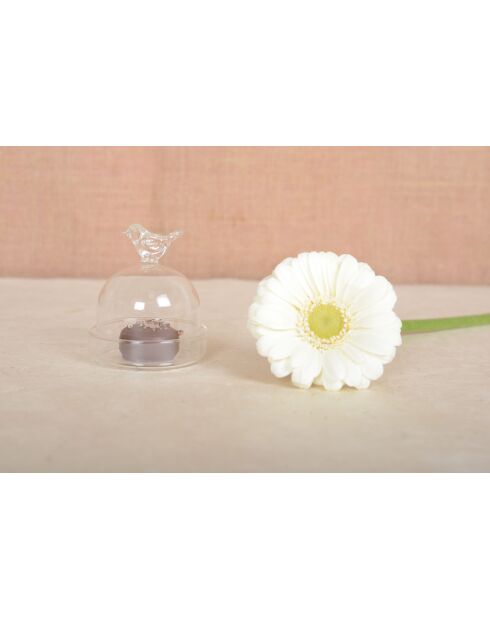 Lot de 6 cadeaux d'assiette oiseau transparents - 5.5x5.5x6.5 cm