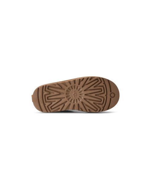 Bottines en cuir Classic Ultra Mini Platform châtaigne