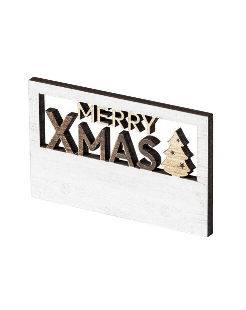 Set van 10 veelkleurige Lambet Merry Christmas magneten - 6x1x3,8 cm