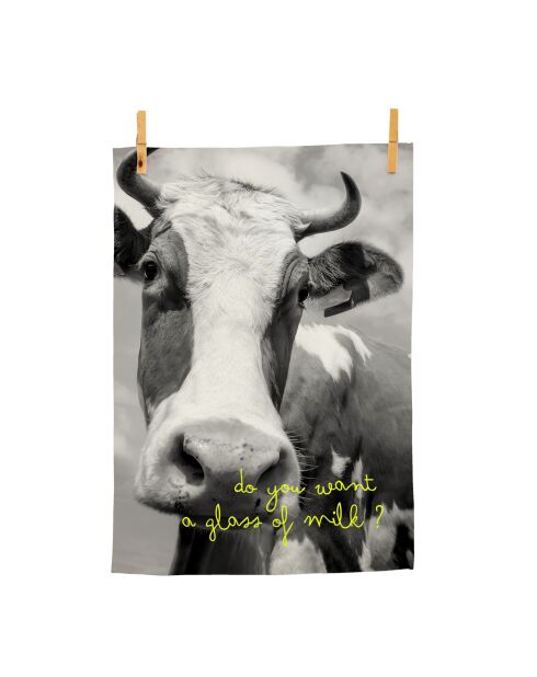 2 mehrfarbige Farm-Geschirrtücher - 70x50cm