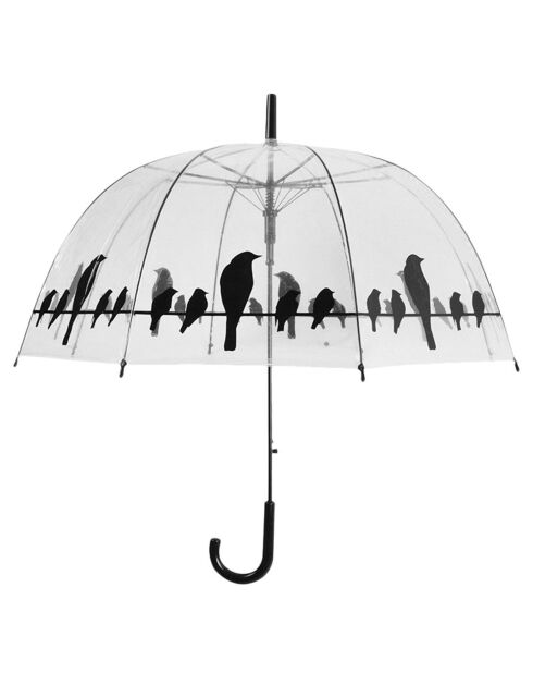 Parapluie Oiseaux transparent/noir